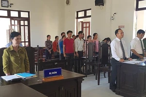 Phiên tòa 12 giáo viên kiện Phòng GD-ĐT huyện Tây Hòa.. Ảnh: PLO
