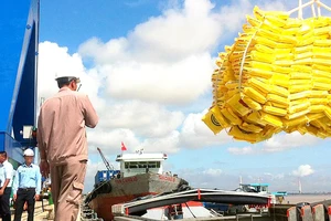 ĐBSCL đang kỳ vọng về cảng biển nước sâu Trần Đề đáp ứng nhu cầu xuất nhập khẩu hàng hóa cho toàn vùng 