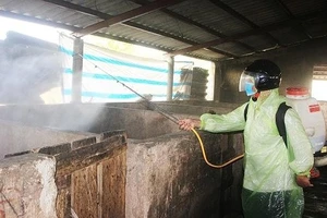  Phun hóa chất khử trùng chuồng trại nuôi heo tại Quảng Trị