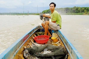Người dân làng vó mưu sinh trên sông Sài Gòn