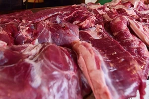 Điều tra việc cấp phép cho lô thịt heo nhiễm virus dịch tả heo châu Phi