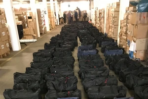 Hàng trăm chiếc túi chứa đầy cocaine bị bắt tại Hamburg