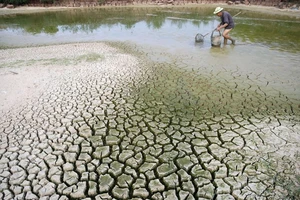 Viện trợ Việt Nam 30,2 triệu USD để chống biến đổi khí hậu