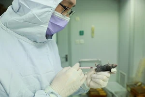 Chuột được tiêm thử nghiệm vaccine ngừa SARS-CoV-2 vẫn khỏe mạnh