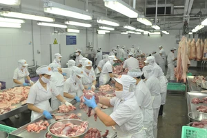 Pha lóc thịt heo phục vụ nhu cầu tiêu dùng trong nước tại Công ty Vissan. Ảnh: CAO THĂNG