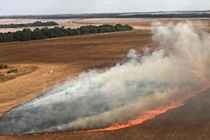 Khói lửa bốc lên từ đám cháy rừng tại khu vực Pantanal, bang Mato Grosso, Brazil ngày 29-7-2020. Nguồn: TTXVN