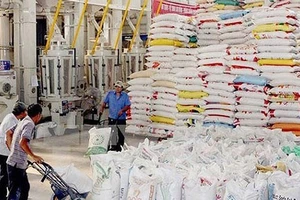 Giá gạo Việt Nam đang cao nhất trong nhóm các nước xuất khẩu gạo gồm Thái Lan, Ấn Độ, Pakistan, Miến Điện