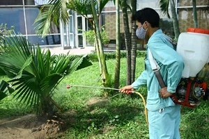 Tăng cường phòng chống dịch do virus Chikungunya