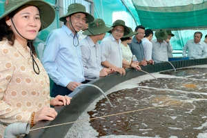 Chủ tịch HĐND TPHCM Nguyễn Thị Lệ giám sát sản xuất nông nghiệp tại huyện Cần Giờ. Ảnh: VIỆT DŨNG