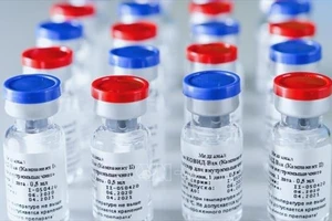 Vaccine ngừa COVID-19 của Nga. Ảnh: YONHAP/TTXVN