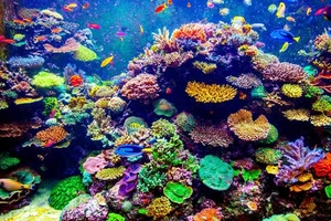 Cứu các rạn san hô bằng gạch in 3D