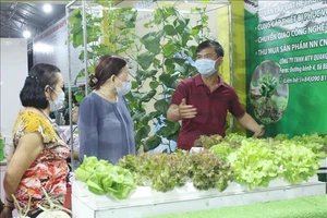 Khách tham quan các gian hàng sản xuất rau tại chợ phiên nông sản TP Hồ Chí Minh năm 2020. Ảnh: TTXVN