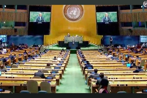 Honduras trở thành quốc gia thứ 50 phê chuẩn Hiệp ước Cấm vũ khí hạt nhân của LHQ. (Nguồn: Kyodo News)
