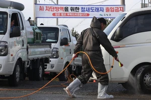 Phun thuốc khử trùng nhằm ngăn chặn sự lây lan của virus cúm H5N6 tại Goseong, tỉnh Nam Goseong, Hàn Quốc. Nguồn: YONHAP