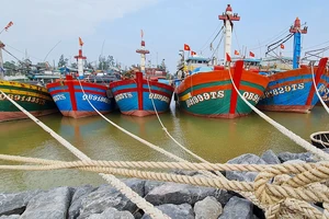Đội tàu đánh bắt xa bờ của tỉnh Quảng Bình được ngư dân đầu tư từ chính sách ưu tiên vay vốn đóng tàu hiện đại, đi khơi xa
