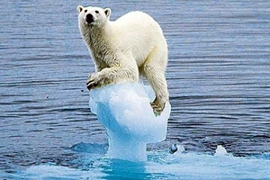 Biến đổi khí hậu được cho là nguyên nhân chính khiến băng không ngừng tan ở Bắc Cực