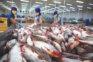 Tháng 1, Hoa Kỳ là thị trường xuất khẩu lớn nhất của Việt Nam