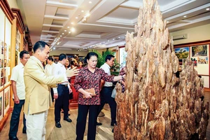Tại Bảo tàng Trầm Hương, anh Nguyễn Văn Tưởng giới thiệu với Chủ tịch Quốc hội Nguyễn Thị Kim Ngân về chiến lược phát triển Trầm hương Khánh Hòa