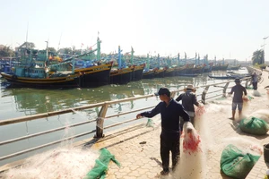 Các nghiệp đoàn nghề cá ở Bình Thuận đang hoạt động rời rạc, kém hiệu quả