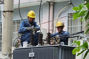 Nhân viên EVNHCMC kiểm tra lưới điện để đảm bảo an toàn điện trong mùa mưa