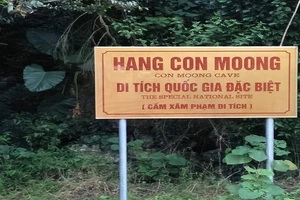 Khảo sát đề cử hang Con Moong là di sản văn hóa thế giới