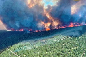 Cháy rừng ở British Columbia, Colombia ngày 29-6-2021. Ảnh: REUTERS