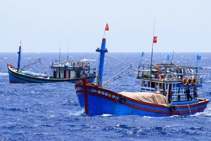 Dẫn giải tàu cá ở Cà Mau vi phạm vùng biển nước ngoài