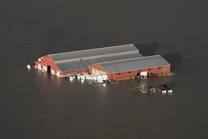 Ít nhất 4 người đã thiệt mạng, 1 người mất tích do lũ lụt tại Canada. Ảnh: AP