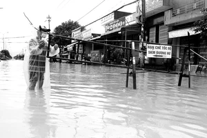 Đời sống người dân khu phố 5, phường Trần Quang Diệu, TP Quy Nhơn, tỉnh Bình Định gặp khó khăn vào mùa mưa