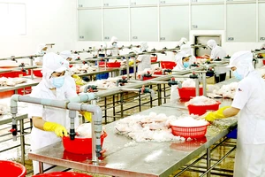 Công ty CP Kinh doanh thủy hải sản Sài Gòn sản xuất 3 tại chỗ trong đợt dịch Covid-19 lần thứ 4