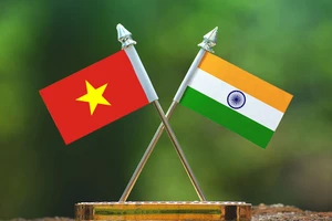 TPHCM tích cực đóng góp thúc đẩy hợp tác Ấn Độ - Việt Nam