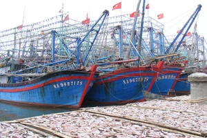 Hàng loạt tàu đánh cá tại làng biển xã Quỳnh Lập (thị xã Hoàng Mai, Nghệ An) nằm bờ. Ảnh: DUY CƯỜNG