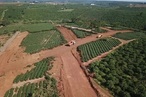Lâm Đồng: Phải cam kết bảo vệ môi trường khi san gạt để sản xuất nông nghiệp