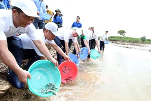 Bộ trưởng Bộ TN-MT Trần Hồng Hà và các đại biểu thả cá
