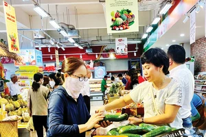 Khách chọn mua bơ Tây Nguyên tại siêu thị WinMart Cộng Hòa, quận Tân Bình, TPHCM