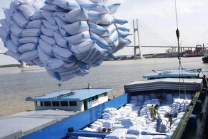 Việt Nam mở rộng xuất khẩu ở phân khúc gạo cao cấp