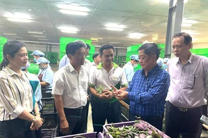 Đoàn công tác Bộ NN-PTNT kiểm tra một cơ sở cung cấp rau xanh