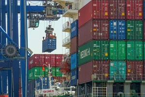 Dự án cảng trung chuyển quốc tế tại Cần Giờ, TPHCM: Không ảnh hưởng quy hoạch phát triển cảng biển