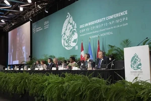 Đại diện các quốc gia tại Hội nghị Đa dạng sinh học Liên Hợp Quốc (COP 15) đã đạt được một thỏa thuận lịch sử về bảo vệ đa dạng sinh học trên trái đất. Ảnh: AP. 