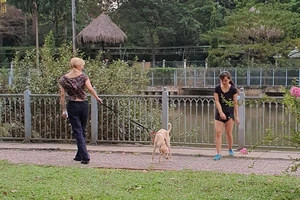Chó không rọ mõm ở Công viên bờ kè kênh Nhiêu Lộc - Thị Nghè