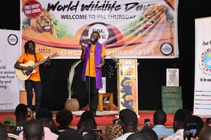 Ca sĩ Steven Ogweno biểu diễn ca khúc kêu gọi bảo vệ động vật hoang dã tại Kenya