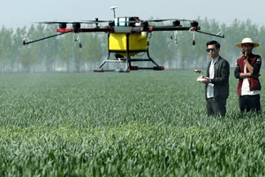 Malaysia thúc đẩy ứng dụng UAV trong nông nghiệp