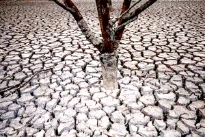 Đất nứt nẻ do khô hạn tại hồ chứa nước Sau, phía Bắc TP Barcelona, Tây Ban Nha