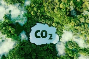 Indonesia sắp khai trương sàn giao dịch carbon