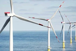 “Trang trại” điện gió Walney Extension hoạt động lớn nhất châu Âu, nằm ở biển Ireland . Ảnh: POWER TECHNOLOGY
