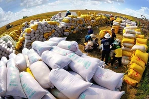 Thủ tướng yêu cầu xử lý nghiêm các trường hợp trục lợi bất chính, đẩy giá lúa gạo lên cao
