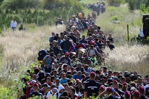Anh: Mạng xã hội tham gia ngăn di cư trái phép