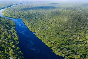 Tăng cường an ninh tại khu vực rừng rậm Amazon