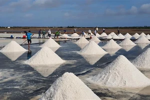 Trung Quốc trấn an người dân về nguồn cung muối