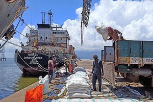 Ấn Độ cho phép xuất số gạo mắc kẹt tại cảng